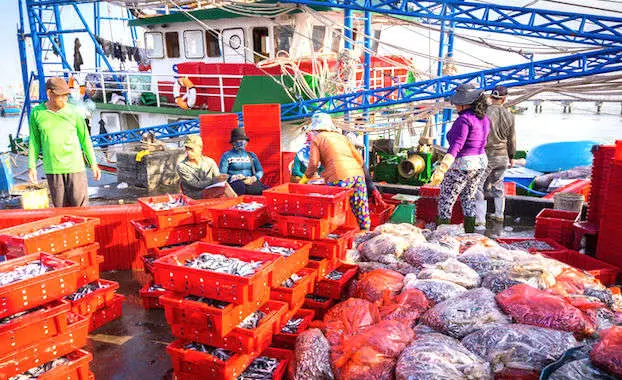 Les incertitudes du Brexit inquiètent toute la filière de la pêche française.