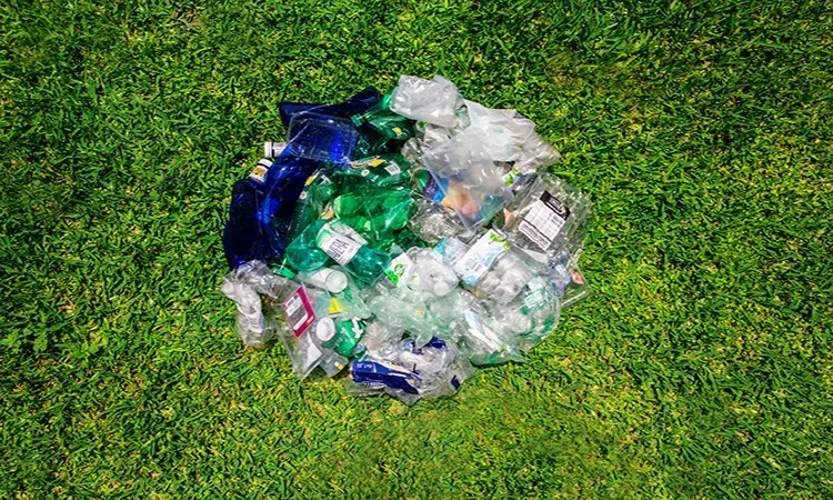 Rendre l'écologie + citoyenne grâce au Collectif Fluicity