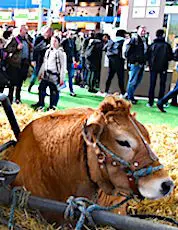 Le Salon de l'Agriculture va donner un immense éclairage à tous les métiers qu'il représente.