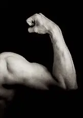 montrer ses muscles en application du 49.3 