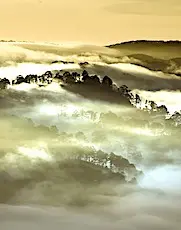 une photo d'un espace naturel pour moins de pollution un effet positif du coronavirus