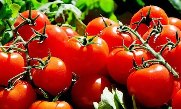 Des tomates