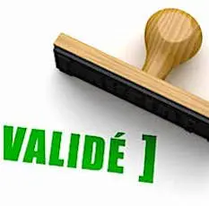 Le feu vert du Comité National du Numérique est attendu en urgence par le Gouvernement.