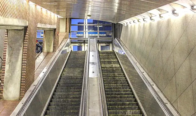 Les conséquences environnementales dues à l'épidémie de coronavirus sont bonnes pour la planète.