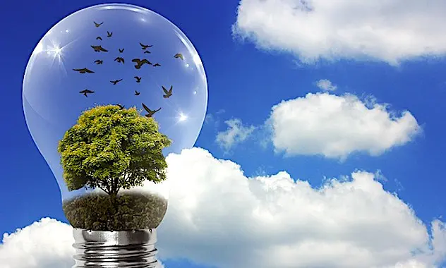 La reprise économique doit favoriser l'économie décarbonée.