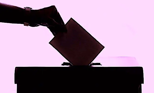 Le second tour des Municipales a été marqué par une poussée des écologistes.