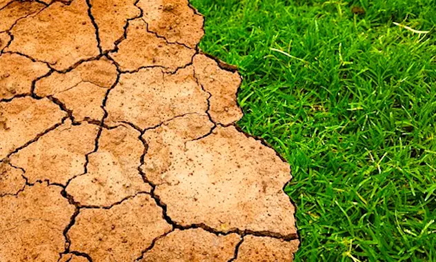 Un début de sécheresse commence à se manifester dans le nord de la France.