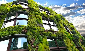 Contrer le réchauffement climatique dans les villes nécessite une plus grande végétalisation.