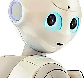 La tête du robot Pepper. A la Cité Internationale de Lyon, on verra une nouvelle version du sympathique robot intelligent Pepper.