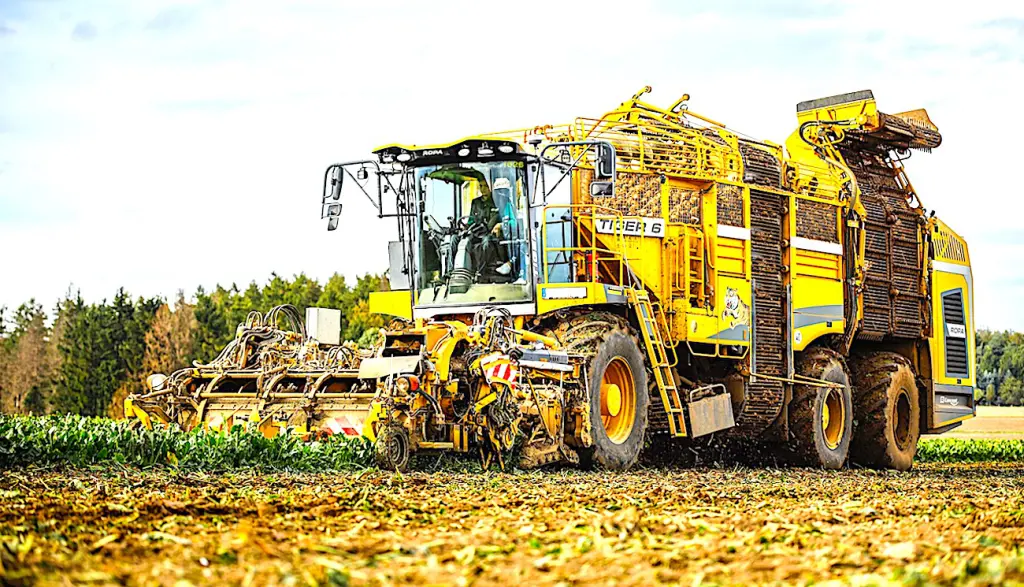 La culture de la betterave va bénficier d'une sérogation sur les pesticides