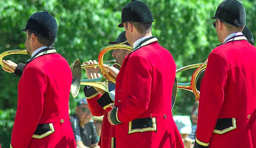 A Compiègne, un nouvel incident de chasse à courre a marqué les habitants de l'Oise