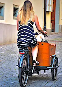Promouvoir l’usage du vélo va permettre à la Seine-Saint-Denis de soulager son trafic routier