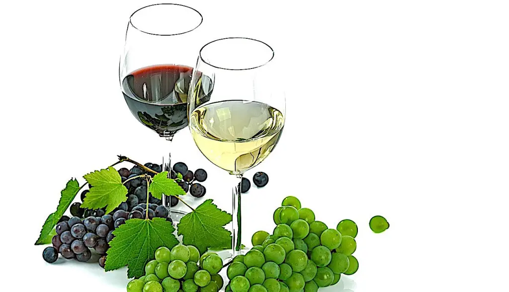 L'oenotourisme permet aux vins de Cheverny de résister à la crise sanitaire