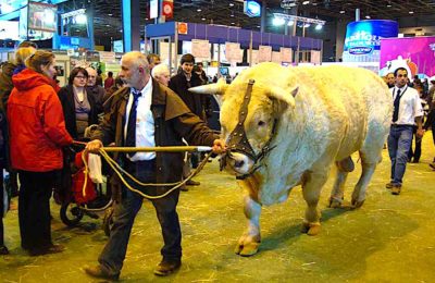 En 2021, le Salon de l’Agriculture sera annulé