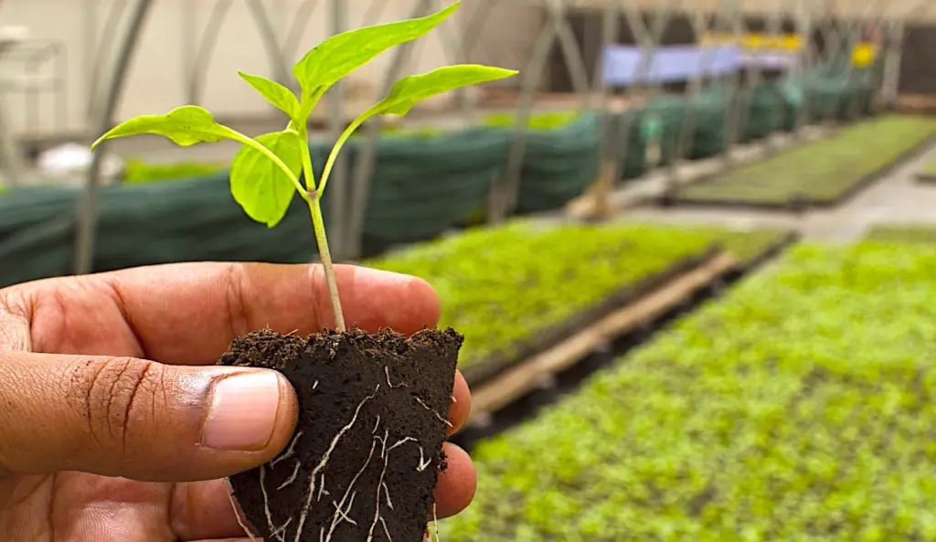 L'agriculture biologique représente aujourd'hui un secteur français porteur pour l'emploi