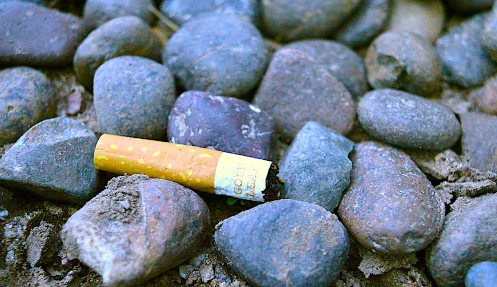 La chasse aux mégots est l'un des objectifs d'une campagne lancée à Cherbourg-en-Cotentin