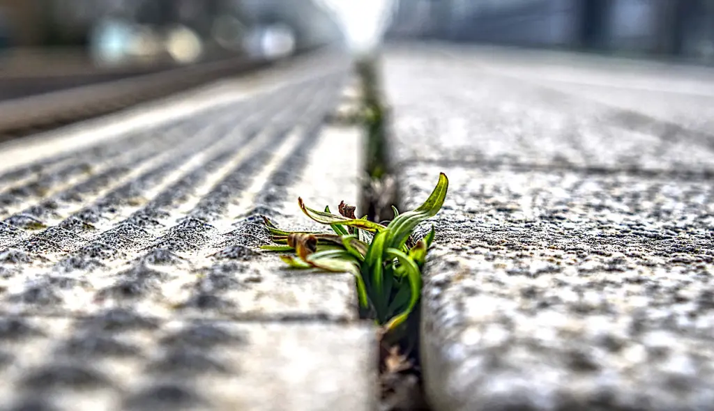 L'accès à la nature est devenu inégal pour les Français, pendant le confinement