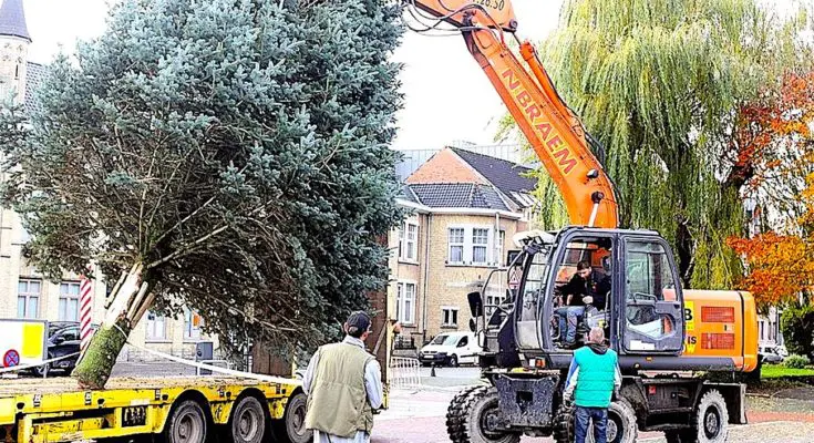 Un sapin de fête, que Bordeaux a refusé, sera installé pour Noël en Corrèze