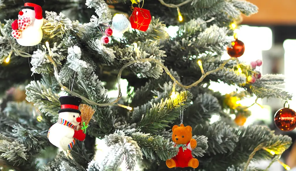 Aujourd'hui, la filière des sapins de Noël s'avoue très inquiète