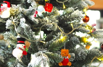 Aujourd'hui, la filière des sapins de Noël s'avoue très inquiète