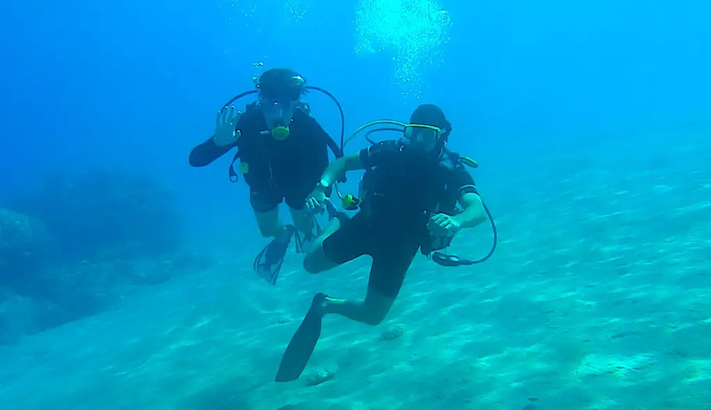 La pêche à la coquille Saint-Jacques, en Bretagne, peut aussi se pratiquer à la main, avec des bouteilles