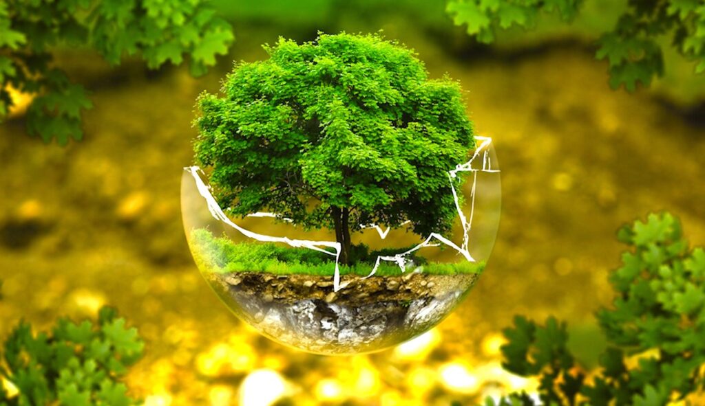 Trois mois de délai ont été donnés par le Conseil d'Etat au Gouvernement pour prouver son efficacité écologique