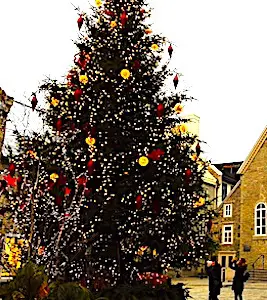 Un sapin de Noël sur une place de village Un sapin de fête, refusé par Bordeaux, servira à Noël dans une petite commune de Corrèze.