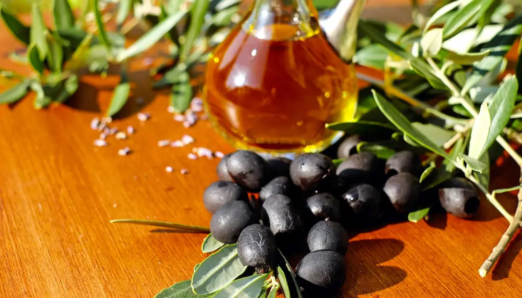 La cueillette de l’olive noire de Nyons a lieu en décembre dans la Drôme