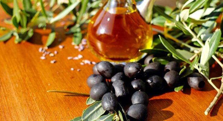 La cueillette de l’olive noire de Nyons a lieu en décembre dans la Drôme