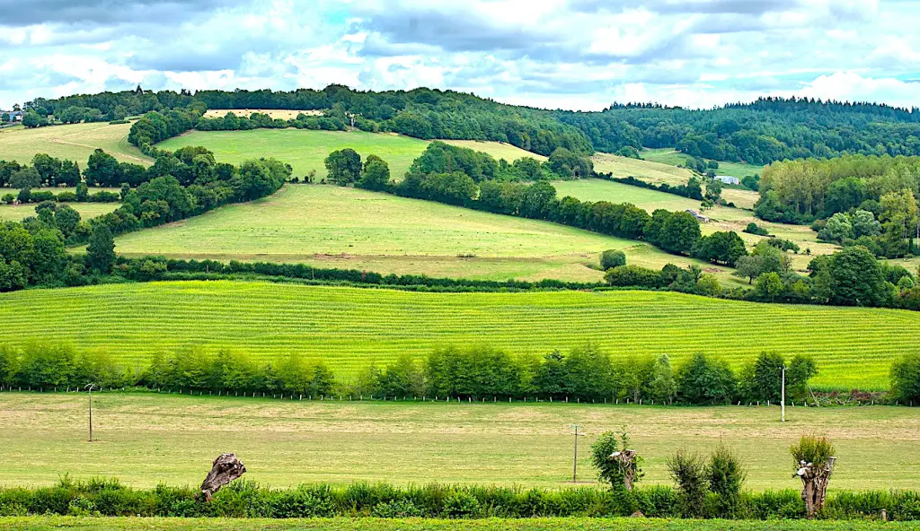 La destruction de haies, préjudiciable à la biodiversité, est une pratique à surveiller