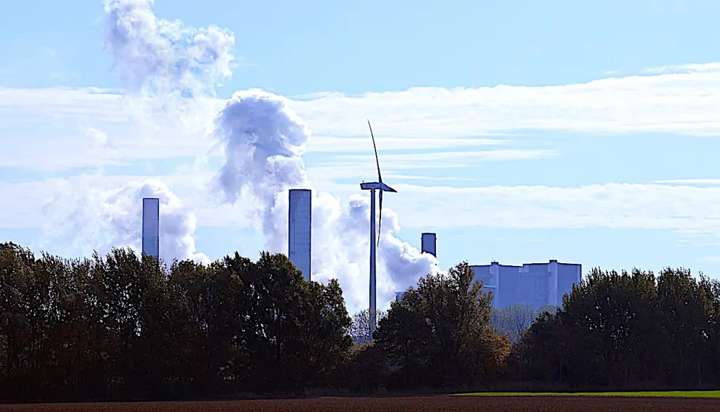 Pour faire condamner l’Etat, quatre ONG écologistes mènent une action.