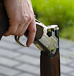 Une main qui tient un fusil de chasse Un nouveau cas de lynx abattu en France a eu lieu dans le Doubs.
