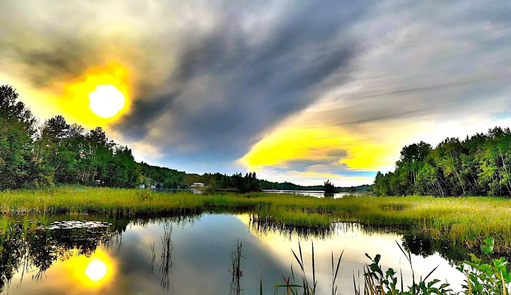 Suite au One Planet Summit, la France va renforcer sa stratégie de protection de l'environnement