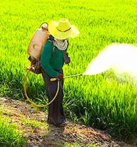 A Fors, le maire a négocié un arrêt des pulvérisations de pesticides contre un dédommagement.