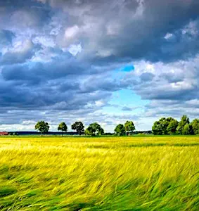 Un paysage mouvementé Les résultats insuffisants de l’Etat en matière de protection climatique ont abouti à une sanction pénale.