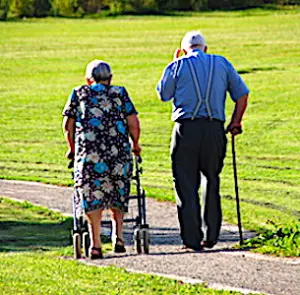 Un couple de retraités, de dos, marchant dans un parc Pour Bruno Le Maire, une future réforme des retraites reste un sujet d’actualité.