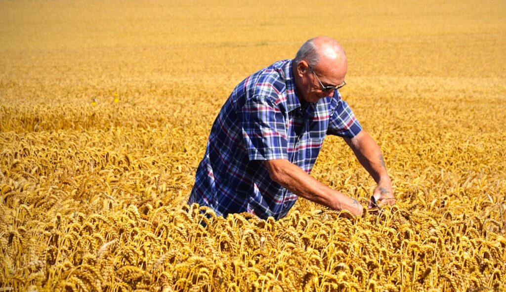 Pour une meilleure protection des agriculteurs, l’exécutif veut instaurer des prix minimaux de leurs produits.