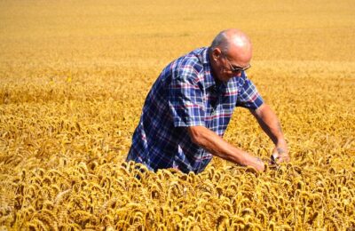 Pour une meilleure protection des agriculteurs, l’exécutif veut instaurer des prix minimaux de leurs produits.