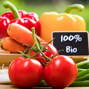 Avec 28 % de terres agricoles cultivées sans pesticides, Lauzach est une commune labellisée bio.