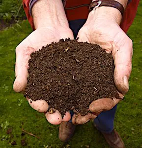 Des distributions de compost végétal auront lieu aujourd'hui à Guidel, une commune bretonne, à la fois écologique et solidaire.