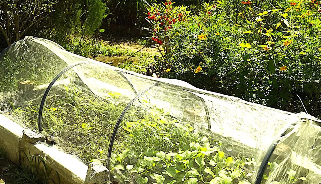 Pour jardiner à Nantes, il suffit de se renseigner sur les options possibles. est toujours possible, même en temps de crise