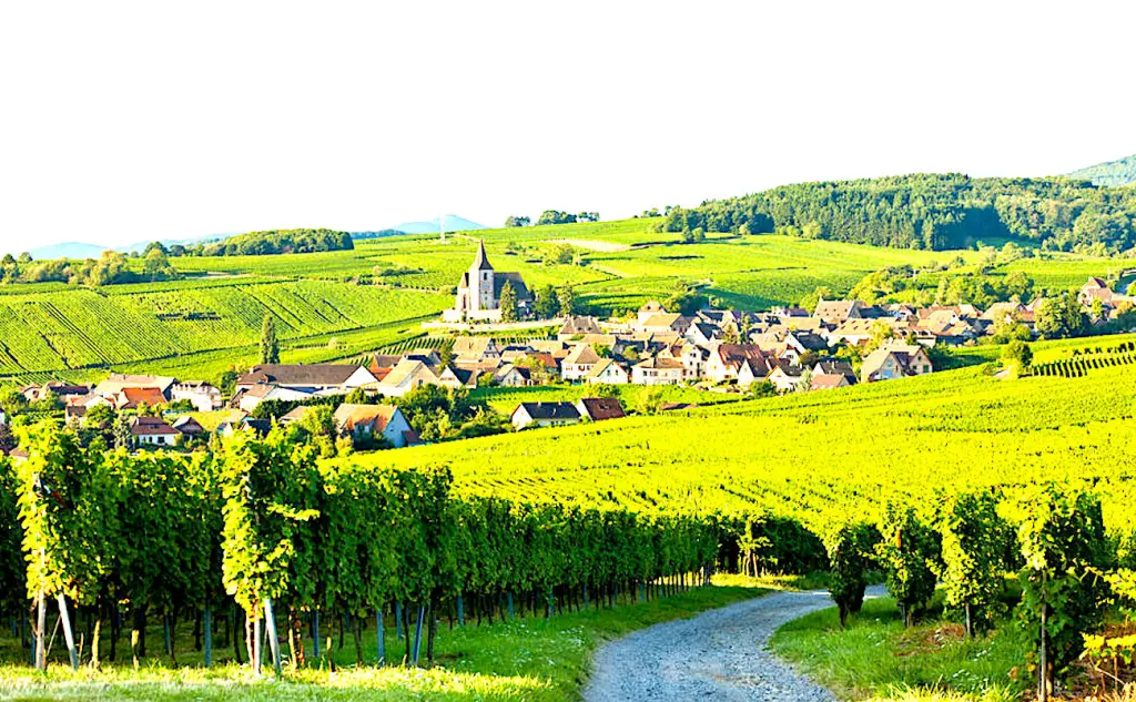 Des petites smart cities vont bientôt émerger en France.