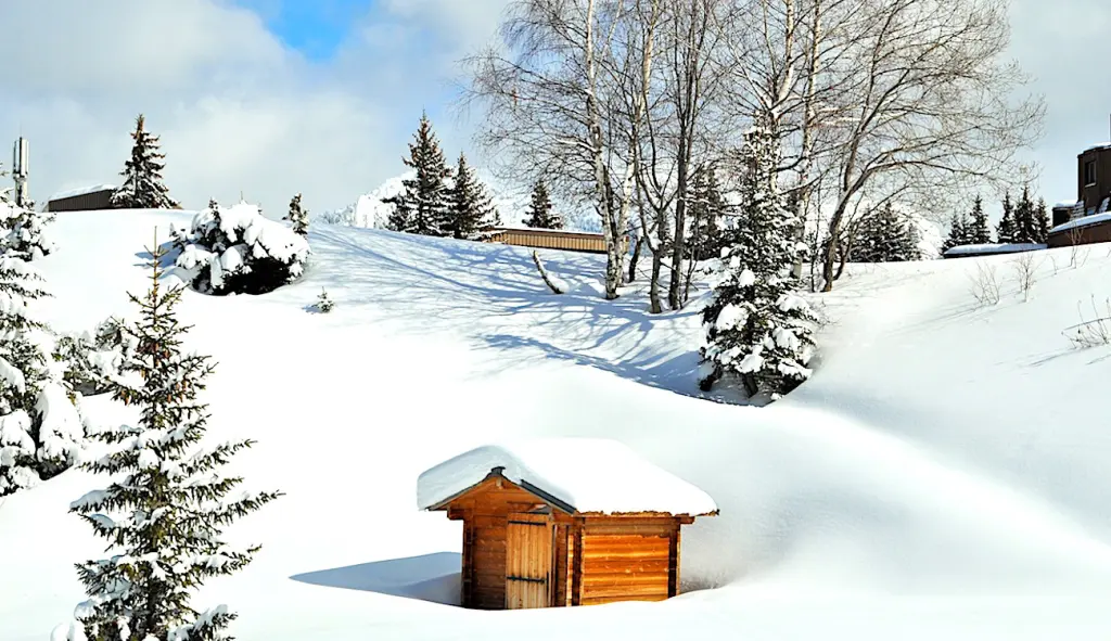 La Haute-Savoie va verser 10 millions d'euros d'aide à ses stations de ski.