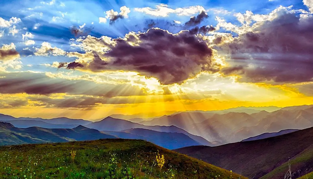 L'ARCEP doit pouvoir mesurer les conséquences du Numérique sur l’environnement.