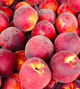 Un gel historique vient de frapper l’Ardèche et la Drôme. Ces gelées ont fait perdre d'énormes quantité de fruits à ces deux départements.