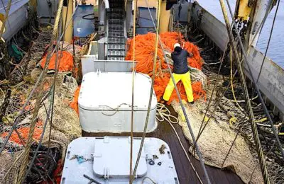 L'interdiction de la pêche électrique en mer du Nord prendra effet dès cet été.