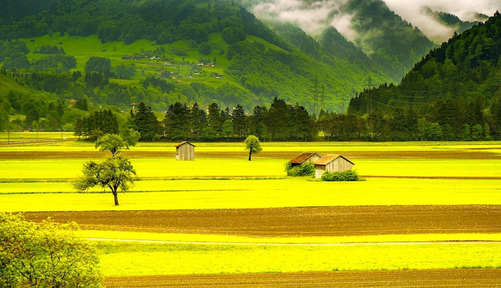 Le Plan cuivre est une initiative d’Orange pur améliorer l'entretien du réseau cuivre dans les zones rurales