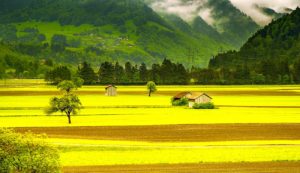 Les communes rurales au cœur des municipales 2026 : enjeux, priorités et attentes d’un territoire essentiel