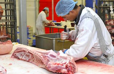 Actuellement, les abattoirs publics représentent souvent un gouffre financier pour les communes.