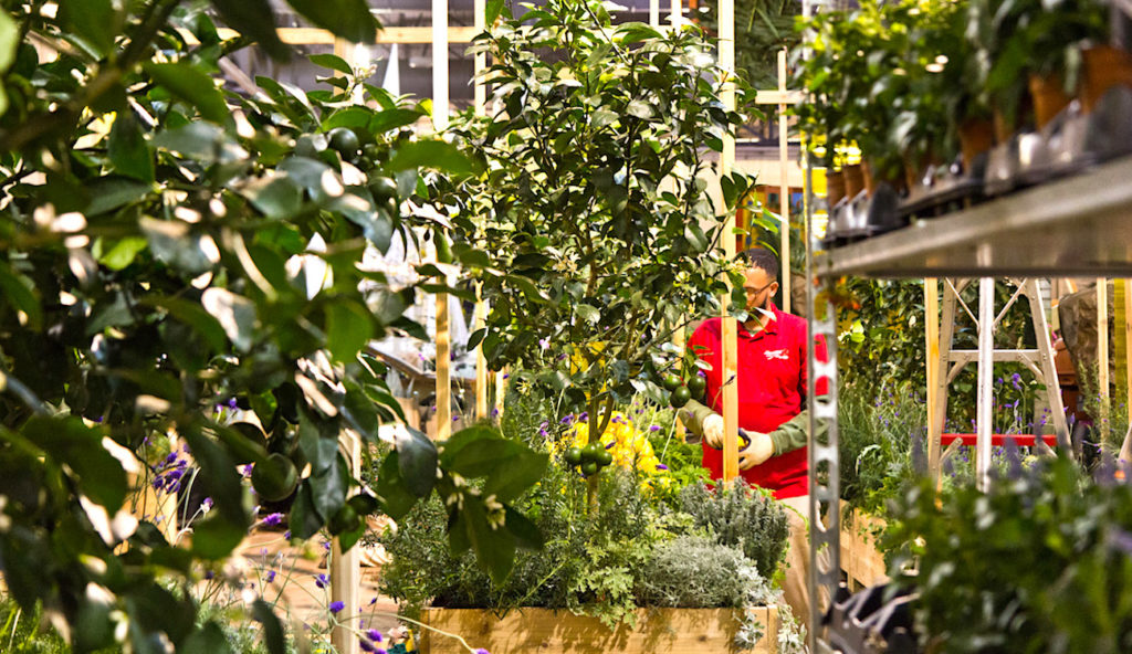 Le co-jardinage urbain est une activité florissante à Toulouse.